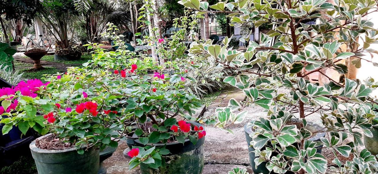 Hiriketiya Cinnamon Garden Dickwella Exterior photo