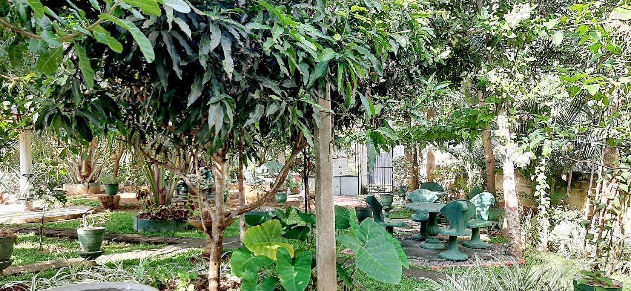 Hiriketiya Cinnamon Garden Dickwella Exterior photo