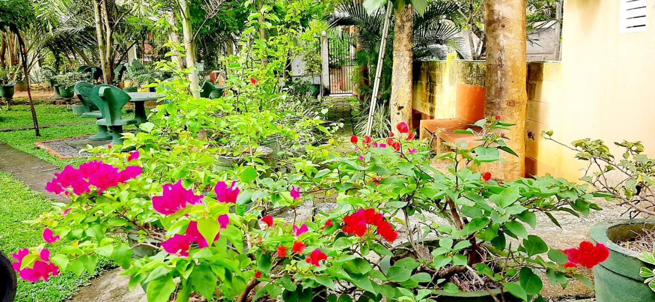 Hiriketiya Cinnamon Garden Dickwella Exterior photo