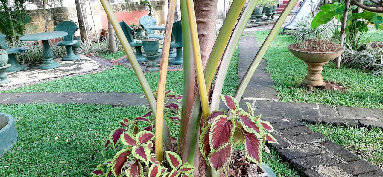 Hiriketiya Cinnamon Garden Dickwella Exterior photo
