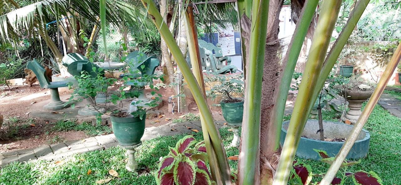 Hiriketiya Cinnamon Garden Dickwella Exterior photo