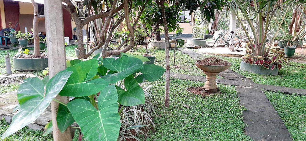 Hiriketiya Cinnamon Garden Dickwella Exterior photo