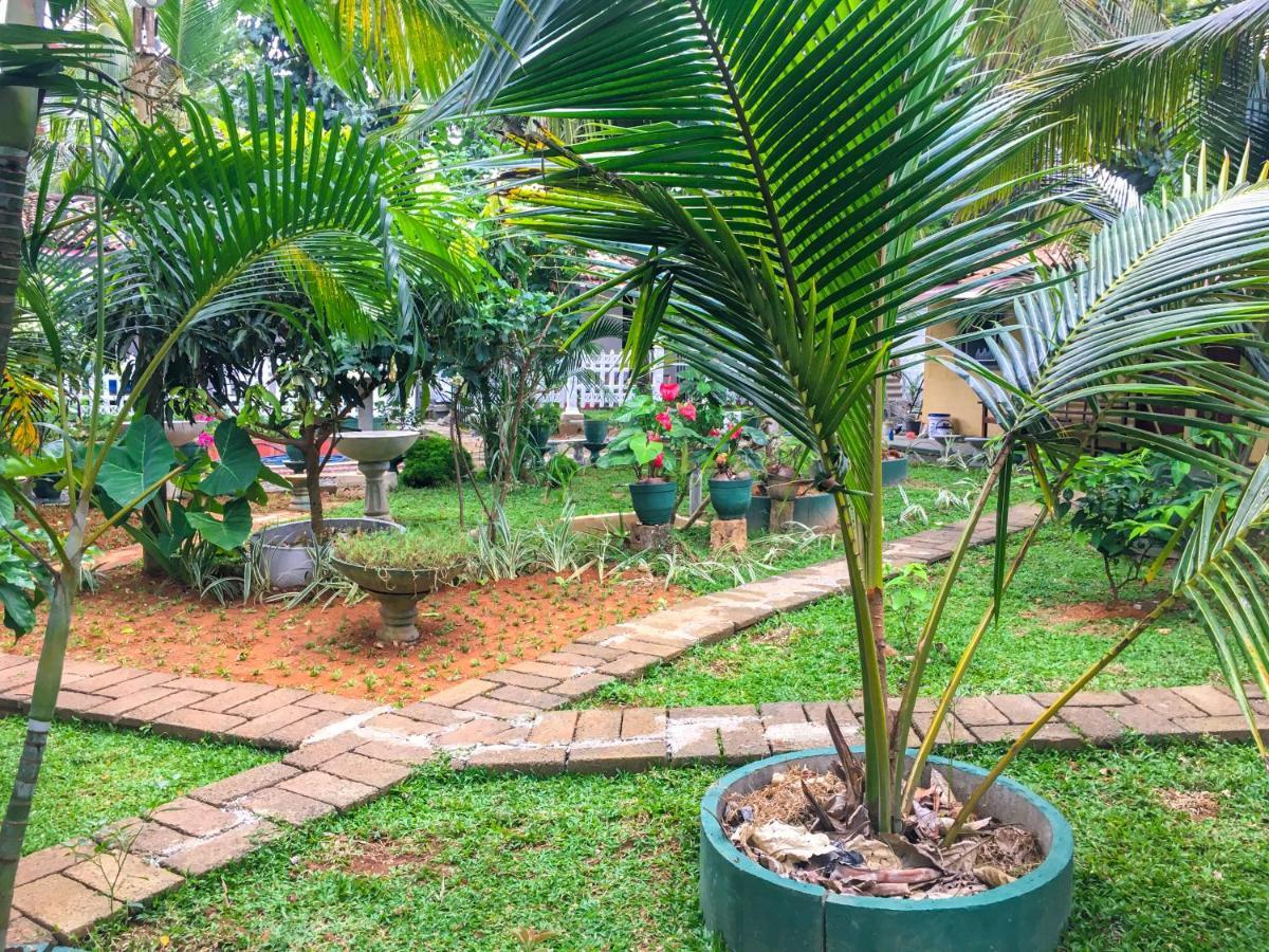Hiriketiya Cinnamon Garden Dickwella Exterior photo